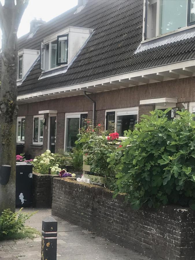 Appartement Het Zonnetje à Zandvoort Extérieur photo